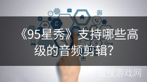 《95星秀》支持哪些高级的音频剪辑？