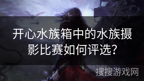 开心水族箱中的水族摄影比赛如何评选？