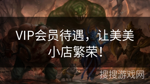 VIP会员待遇,让美美小店繁荣! VIP会员待遇,让美美小店繁荣!