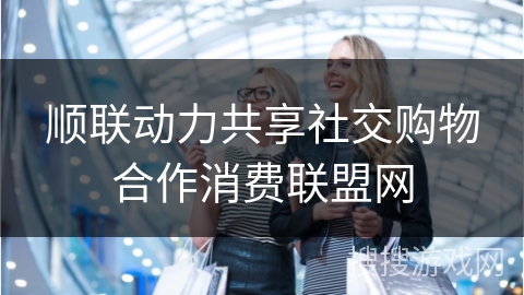 顺联动力共享社交购物合作消费联盟网