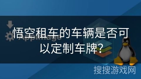 悟空租车的车辆是否可以定制车牌？