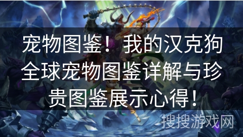 宠物图鉴！我的汉克狗全球宠物图鉴详解与珍贵图鉴展示心得！