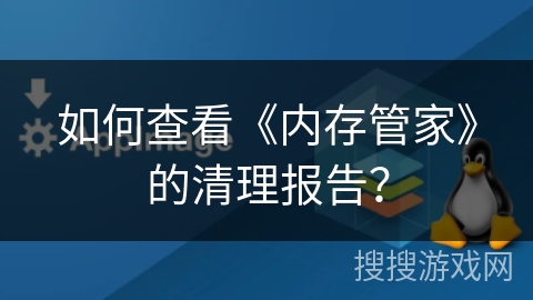 如何查看《内存管家》的清理报告？