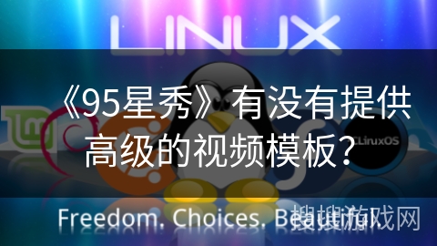 《95星秀》有没有提供高级的视频模板？