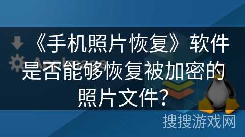 《手机照片恢复》软件是否能够恢复被加密的照片文件？