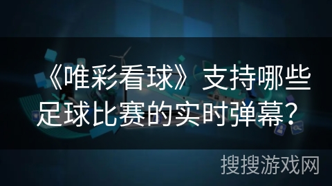 《唯彩看球》支持哪些足球比赛的实时弹幕？