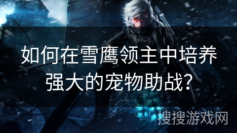 如何在雪鹰领主中培养强大的宠物助战？