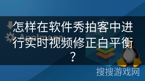 怎样在软件秀拍客中进行实时视频修正白平衡？