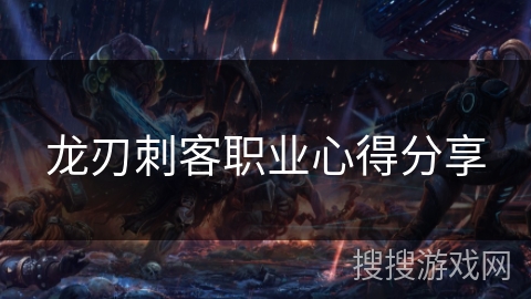 龙刃刺客职业心得分享