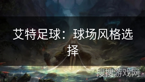 艾特足球：球场风格选择