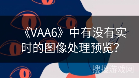 《VAA6》中有没有实时的图像处理预览？