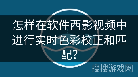 怎样在软件西影视频中进行实时色彩校正和匹配？