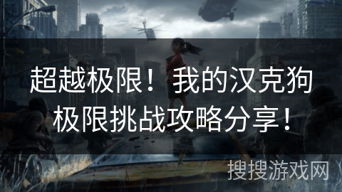 超越极限！我的汉克狗极限挑战攻略分享！