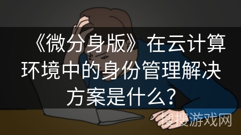 《微分身版》在云计算环境中的身份管理解决方案是什么？