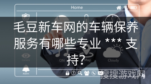 毛豆新车网的车辆保养服务有哪些专业 *** 支持？