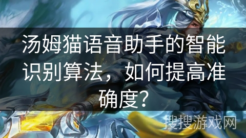 汤姆猫语音助手的智能识别算法，如何提高准确度？