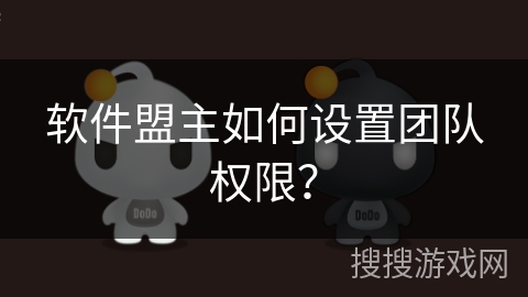 软件盟主如何设置团队权限？