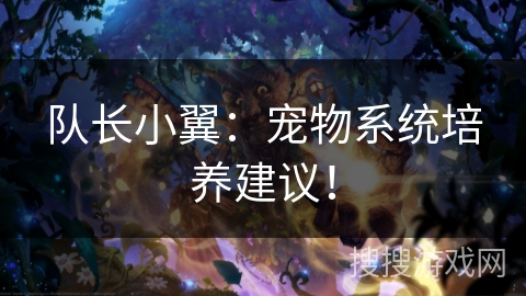 队长小翼：宠物系统培养建议！