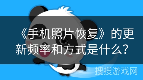 《手机照片恢复》的更新频率和方式是什么？