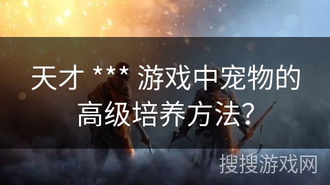 天才 *** 游戏中宠物的高级培养方法？