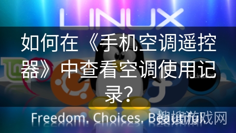 如何在《手机空调遥控器》中查看空调使用记录？