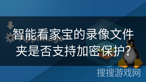 智能看家宝的录像文件夹是否支持加密保护？