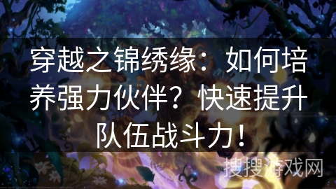 穿越之锦绣缘：如何培养强力伙伴？快速提升队伍战斗力！