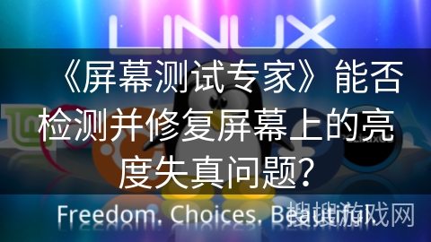 《屏幕测试专家》能否检测并修复屏幕上的亮度失真问题？