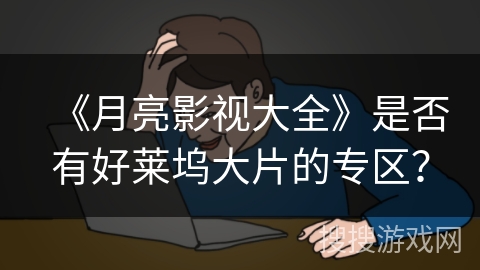 《月亮影视大全》是否有好莱坞大片的专区？