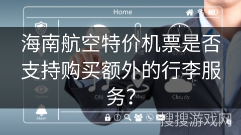 海南航空特价机票是否支持购买额外的行李服务？