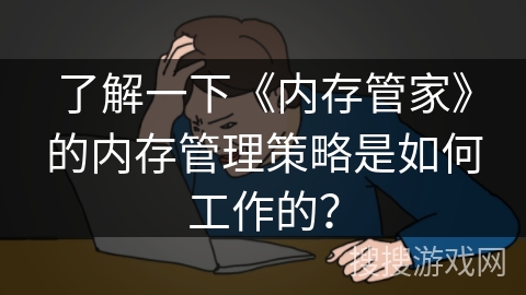了解一下《内存管家》的内存管理策略是如何工作的？