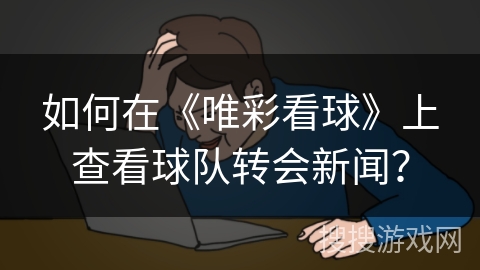 如何在《唯彩看球》上查看球队转会新闻？