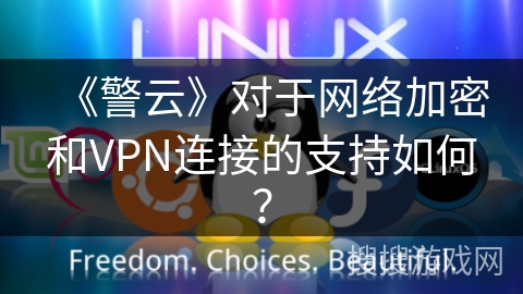 《警云》对于网络加密和VPN连接的支持如何？