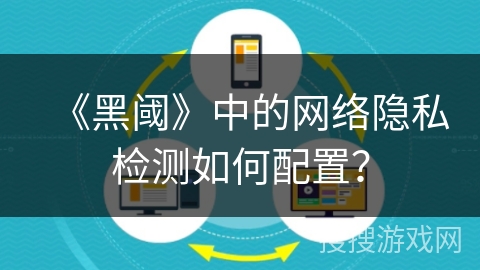 《黑阈》中的网络隐私检测如何配置？