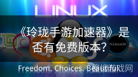 《玲珑手游加速器》是否有免费版本? 《玲珑手游加速器》是否有免费版本?