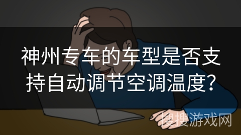 神州专车的车型是否支持自动调节空调温度？