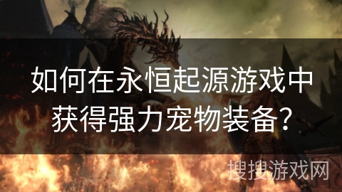 如何在永恒起源游戏中获得强力宠物装备？