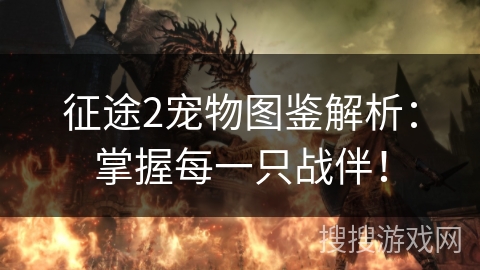 征途2宠物图鉴解析：掌握每一只战伴！