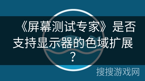 《屏幕测试专家》是否支持显示器的色域扩展？