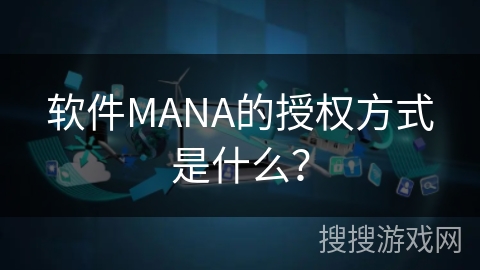 软件MANA的授权方式是什么？