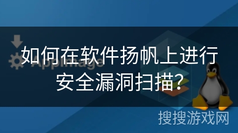 如何在软件扬帆上进行安全漏洞扫描？