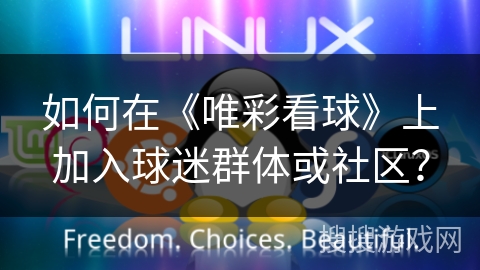 如何在《唯彩看球》上加入球迷群体或社区？