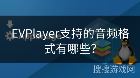 EVPlayer支持的音频格式有哪些? EVPlayer支持的音频格式有哪些?