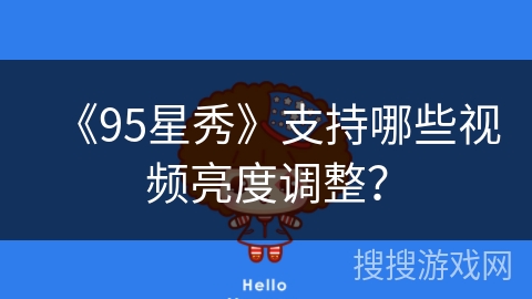 《95星秀》支持哪些视频亮度调整？