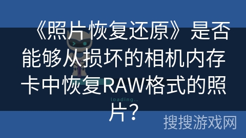 《照片恢复还原》是否能够从损坏的相机内存卡中恢复RAW格式的照片？