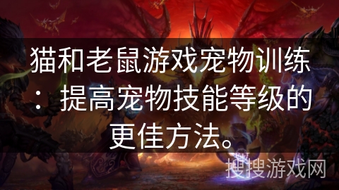 猫和老鼠游戏宠物训练：提高宠物技能等级的更佳方法。