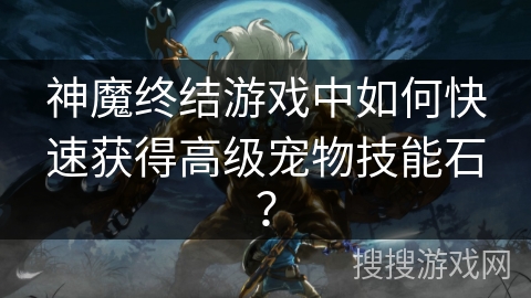 神魔终结游戏中如何快速获得高级宠物技能石？