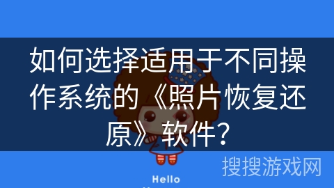 如何选择适用于不同操作系统的《照片恢复还原》软件? 如何选择适用于不同操作系统的《照片恢复还原》软件?