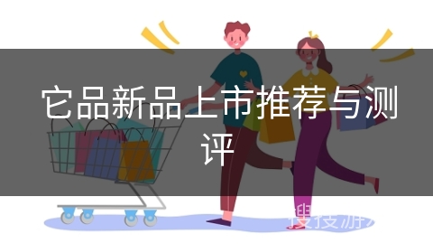 它品新品上市推荐与测评