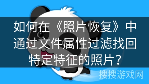 如何在《照片恢复》中通过文件属性过滤找回特定特征的照片? 如何在《照片恢复》中通过文件属性过滤找回特定特征的照片?
